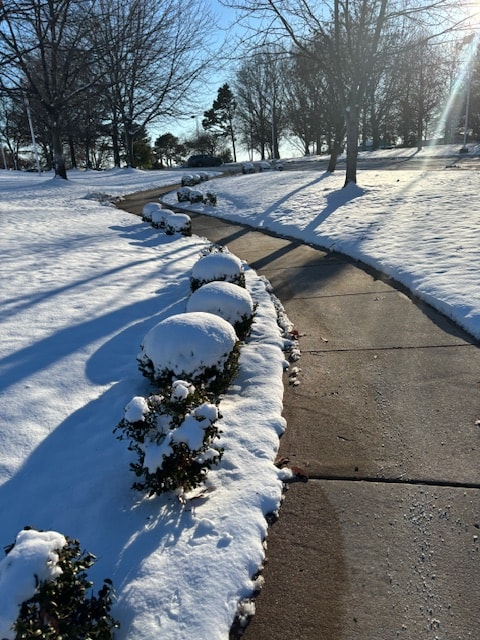 Cleared walkway with snow-covered landscaping after service